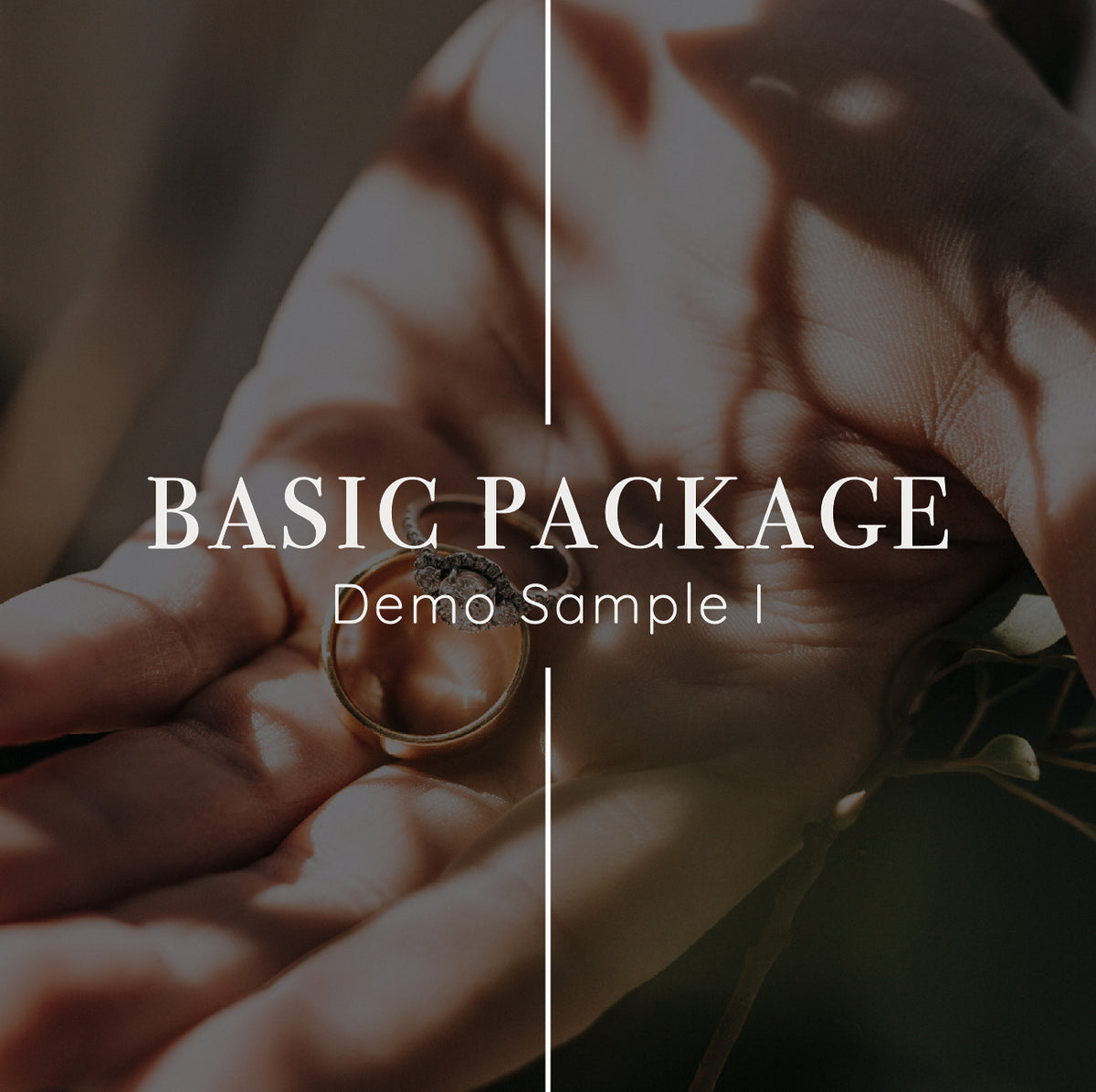 Example Picture Package Basic Package Sample – designbyc