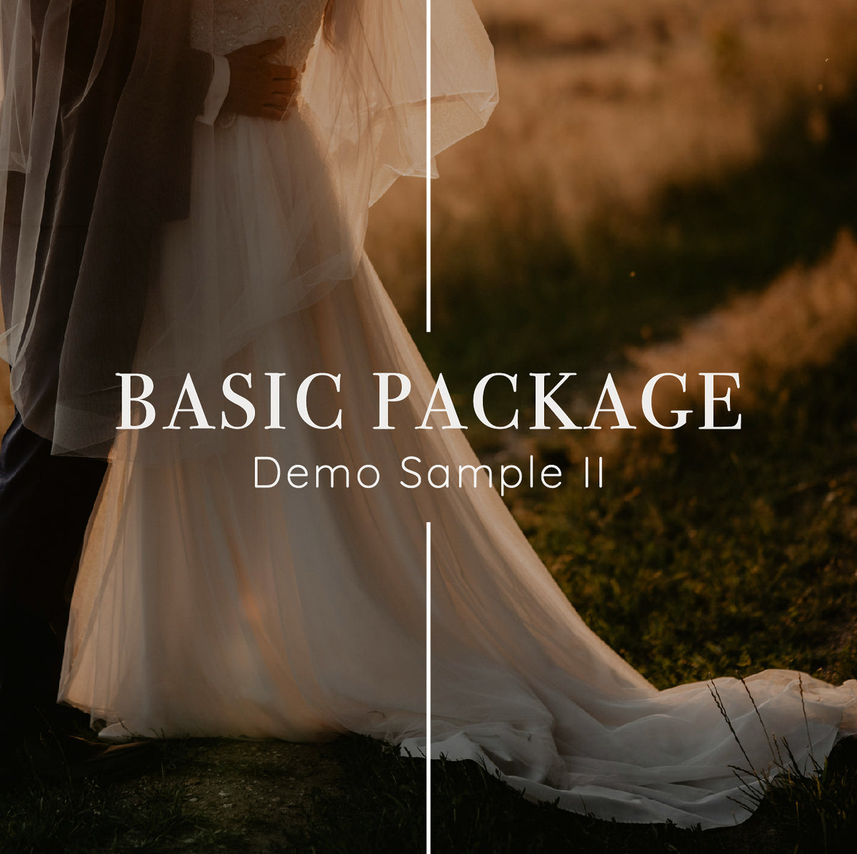 Basic Package Photo Basic Package Sample – designbyc