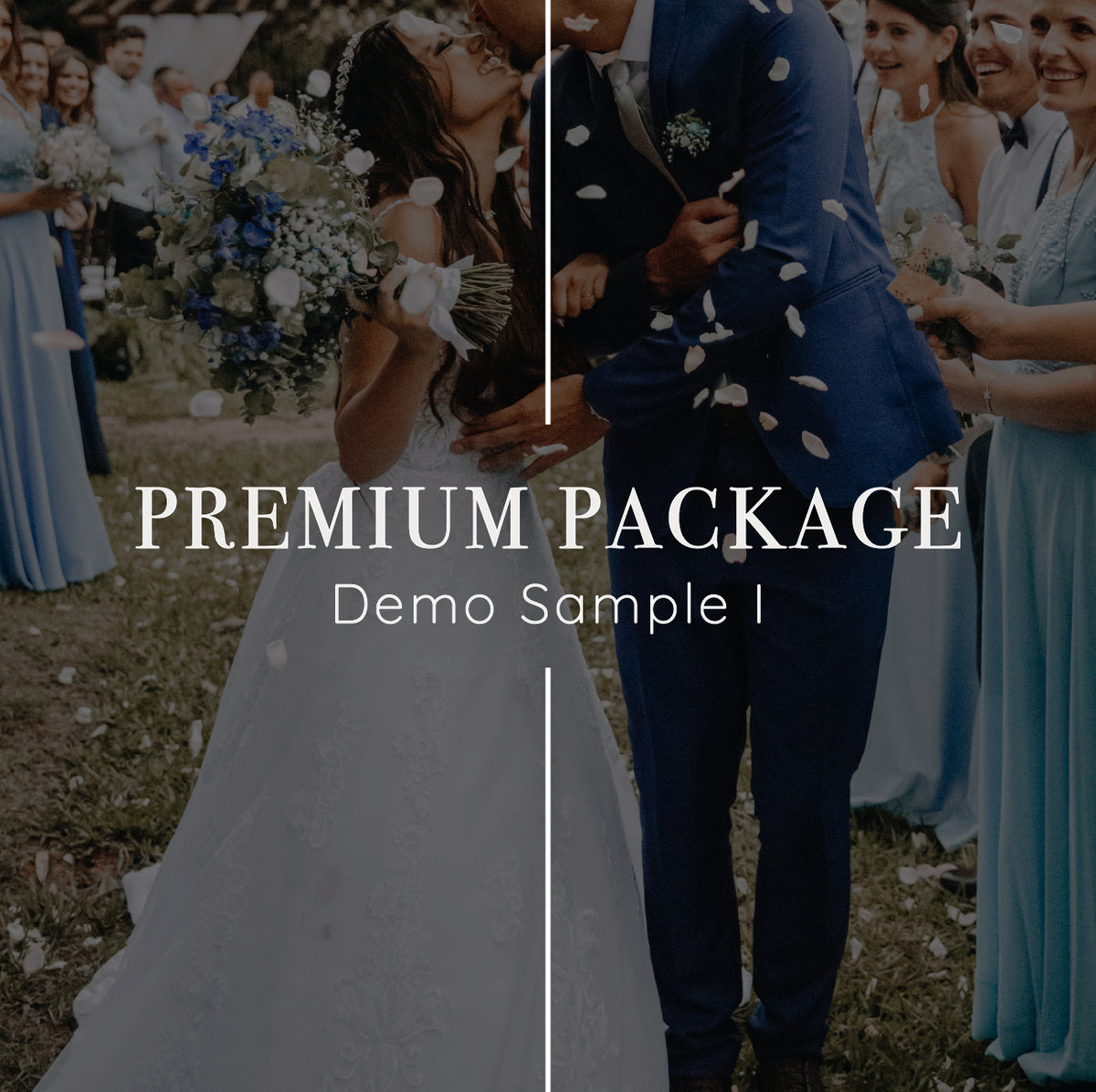 Basic Premium Ultra Package Premium Package Sample – designbyc