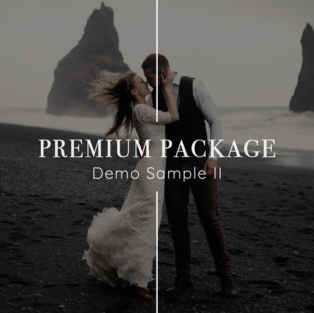 Basic Premium Ultra Package Premium Package Sample – designbyc