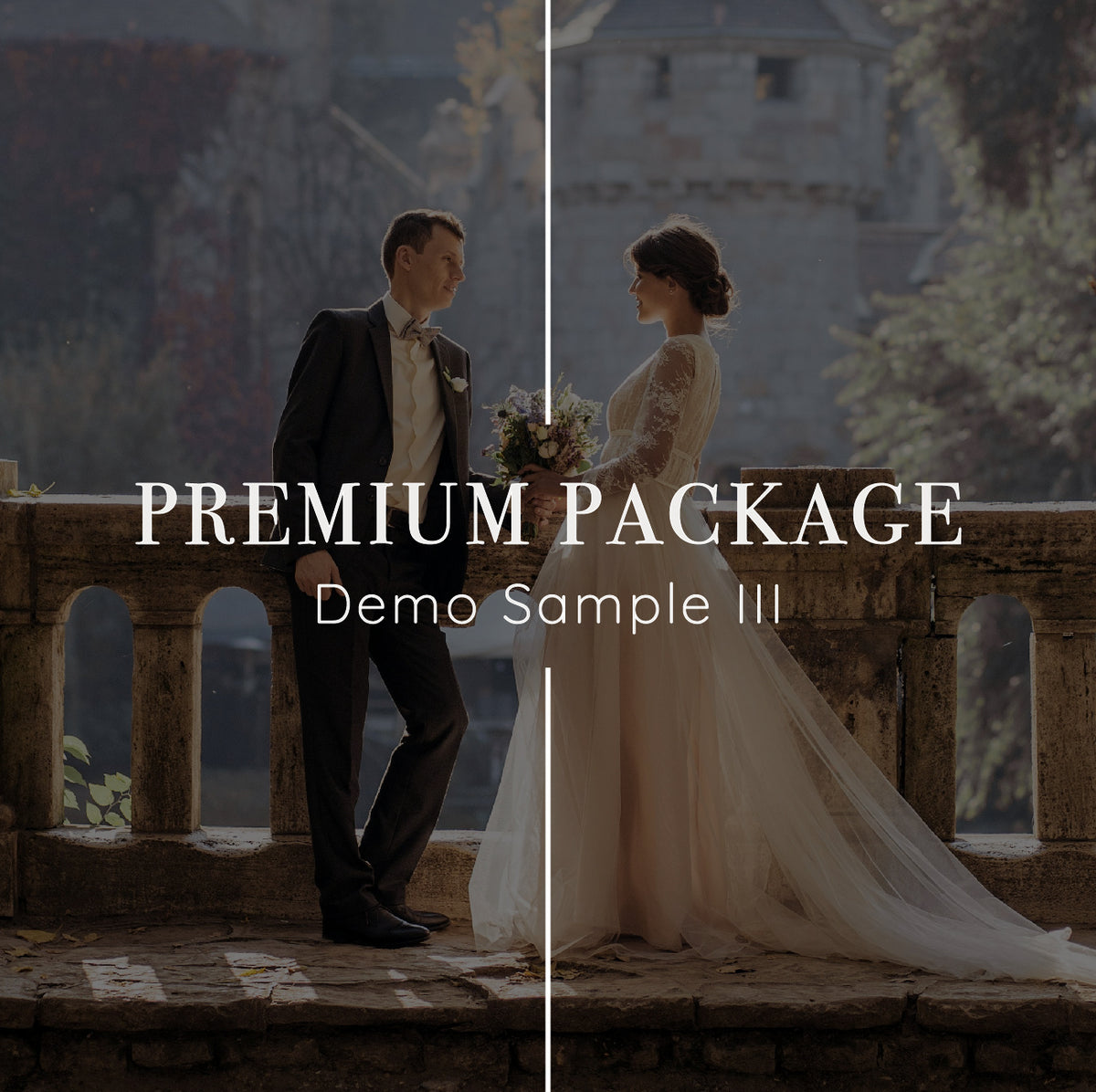 Basic Premium Ultra Package Premium Package Sample – designbyc